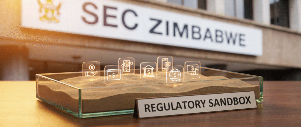 SEC Зимбабве включила 7 финтех-проектов в песочницу